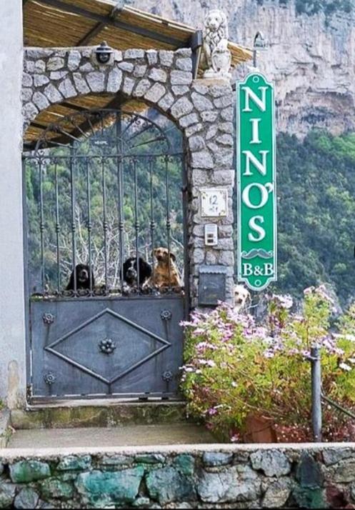Nino'S In Nocelle Apartment Positano Exterior photo